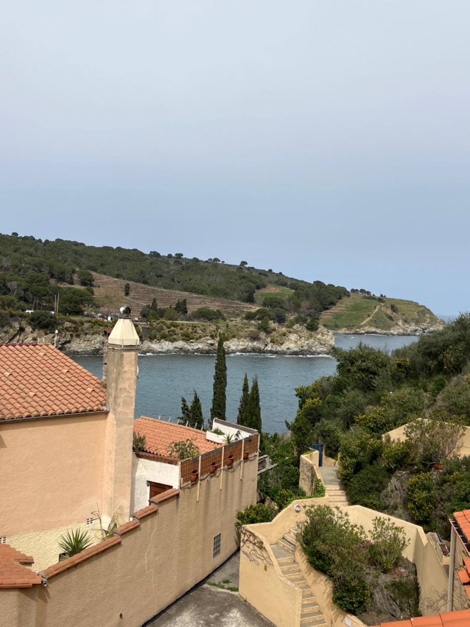 T3 Pieds Dans L'Eau Clim Wifi Terrasse Vue Mer Banyuls-sur-Mer Kültér fotó